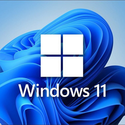 Windows 11 v22H2 22621.1413 | By TWM000[Win系统]-新畅享源码屋