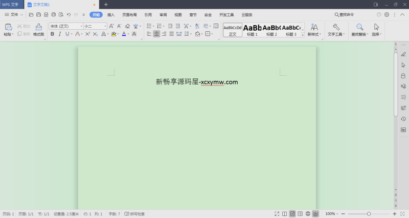 WPS Office 2019 v11.8.2.12195 | 专业增强版[Win版]-新畅享源码屋