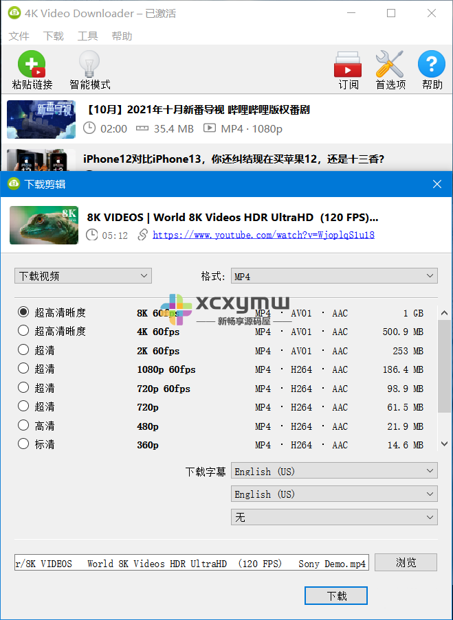 图片[3]-4K Video Downloader v4.24.2 | 中文解锁绿色便携版[Win版]-新畅享源码屋