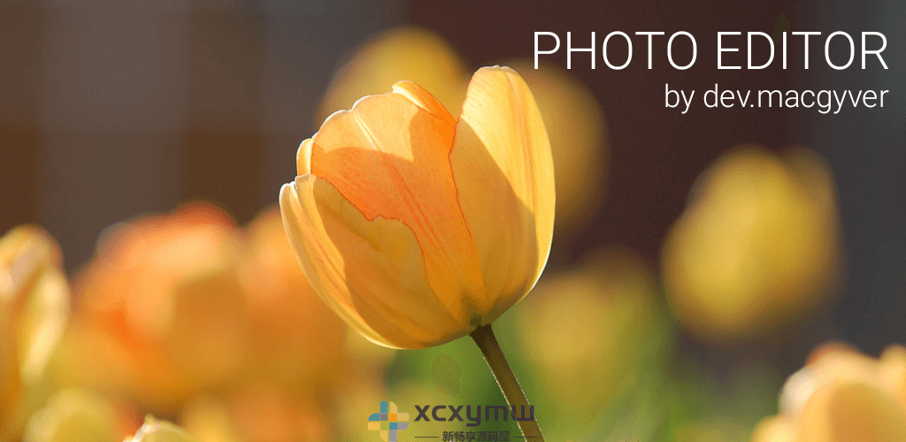 图片[1]-照片编辑器(Photo Editor) v9.6 | 去广告版[安卓版]-新畅享源码屋