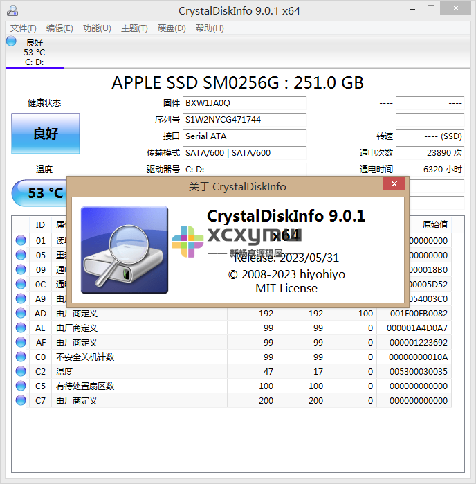 图片[4]-CrystalDiskInfo v9.2.1 | 硬盘状态检测、单文件正式版[Win版]-新畅享源码屋