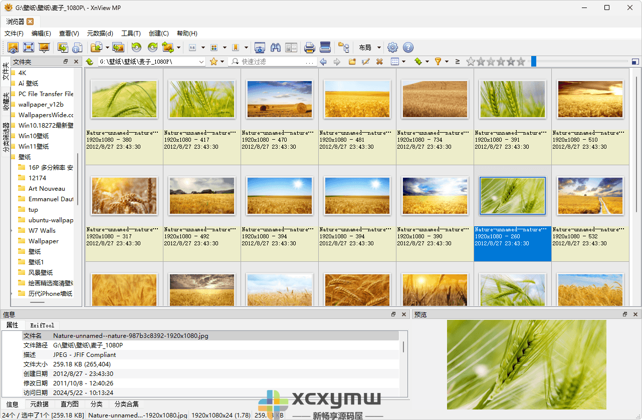 图片[1]-XnView MP v1.8.8.0 | 图片浏览查看工具[Win版]-新畅享源码屋